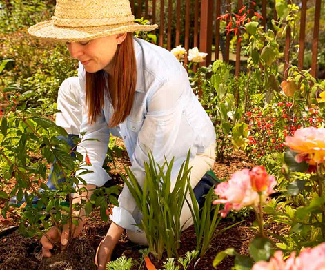 April Is National Gardening Month!