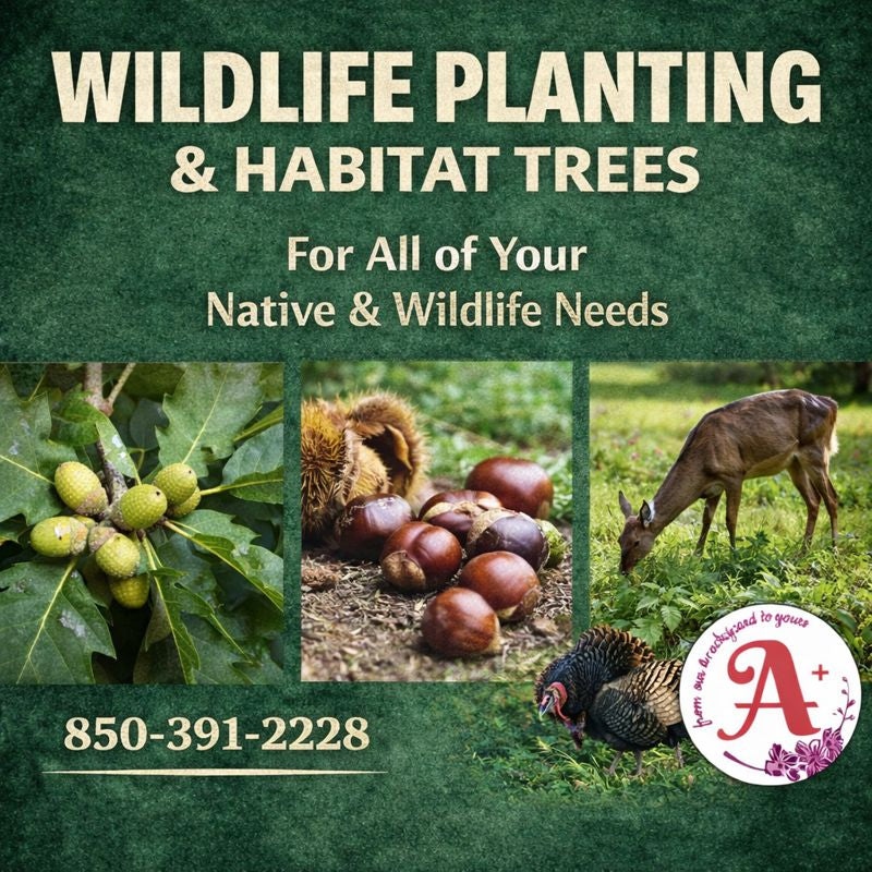 WILDLIFE PLANTING & HABITAT TREES