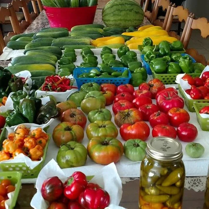 Vegetable Plants for North Florida Gardens