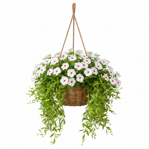 10" HANGING BASKETS