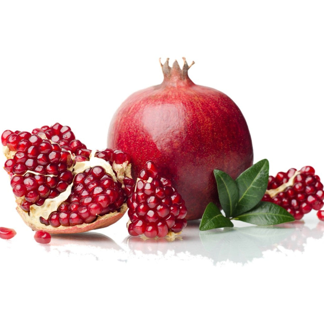 Alganski Pomegranate tree with large red fruit for sale at Advanced Nursery Growers in DeFuniak Springs Florida