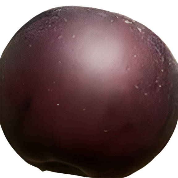 APPLE RED ROME