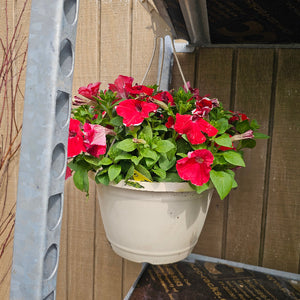 Hanging baskets