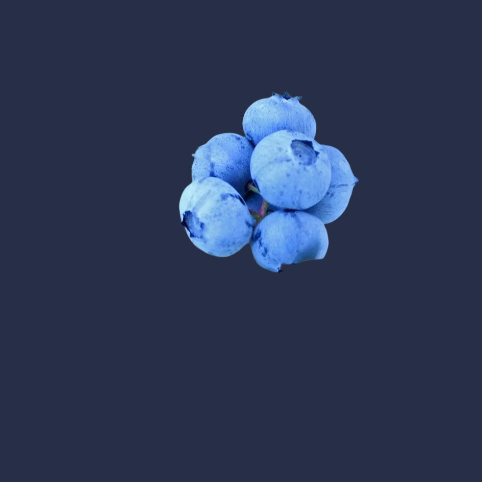 BLUEBERRY SUNSHINE BLUE