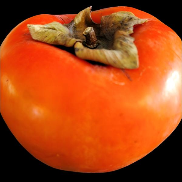 PERSIMMON MAEKAWA JIRO