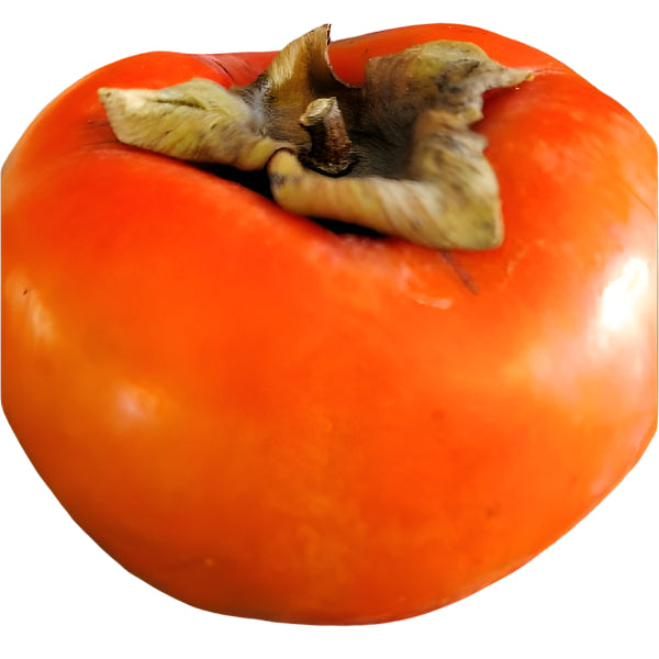 PERSIMMON FUYUGAKI