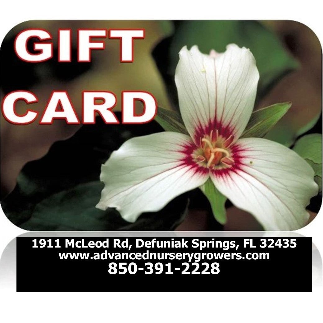 GIFT CARDS