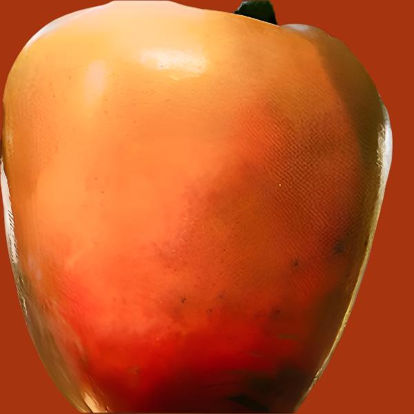 PERSIMMON GIOMBO