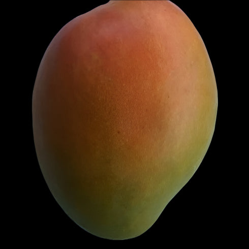 MANGO GLENN