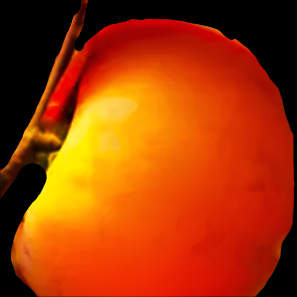 PERSIMMON NIKITA'S GIFT