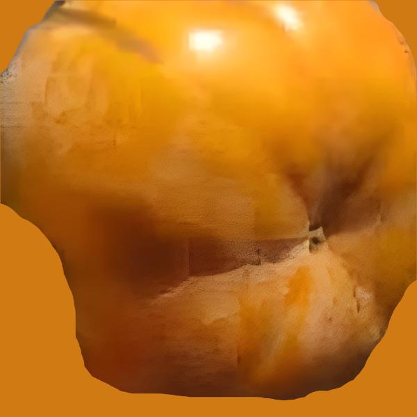 PERSIMMON GWANG YANG