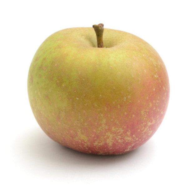 APPLE JONAGOLD