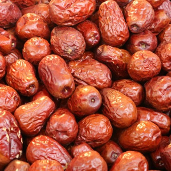 Healthy jujube fruit tree for sale at Advanced Nursery Growers in DeFuniak Springs, Florida