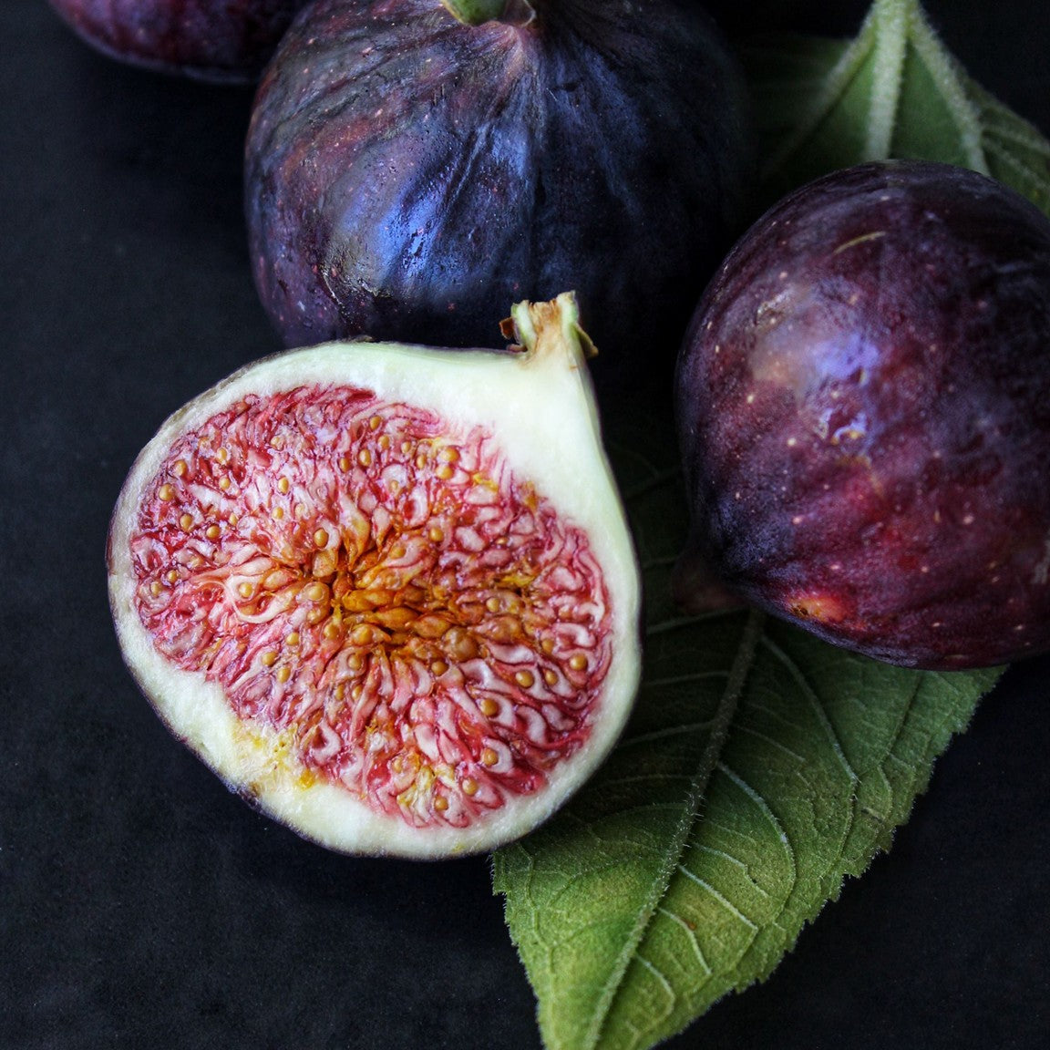 FIG OLYMPIA