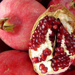 Sharp Velvet Pomegranate tree with large dark red fruit and deep red arils for sale at Advanced Nursery Growers in DeFuniak Springs Florida