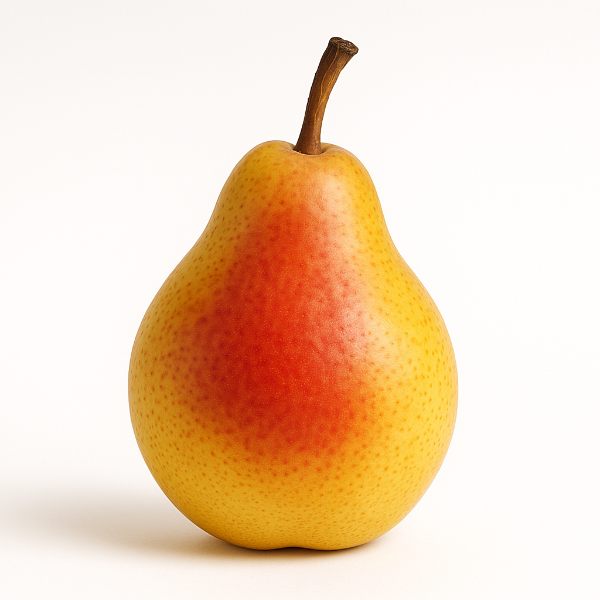 AYERS PEAR Medium-sized fruit with golden-yellow skin and a red blush