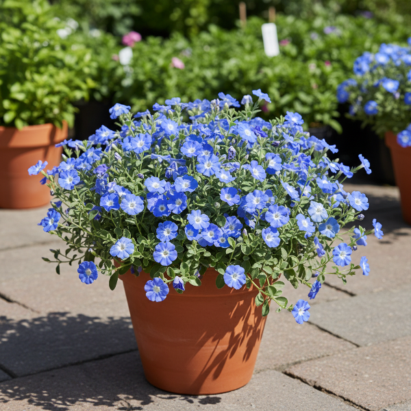Advanced Nursery Growers: Elevating Expertise in the Horticultural