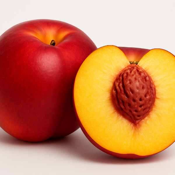 FLAVORTOP NECTARINE  The fruit has smooth red skin and sweet yellow flesh. 