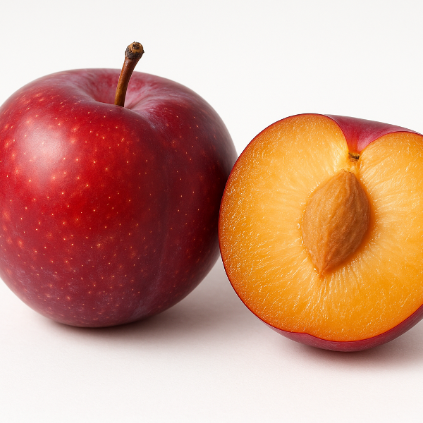 Medium-sized fruit with reddish skin and amber flesh. gulf beauty plum