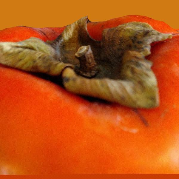 PERSIMMON ICHI-KE-KE-JIRO