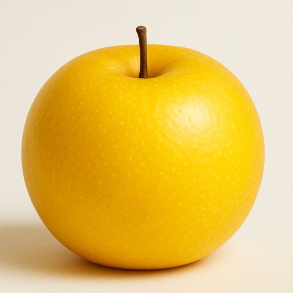 SHINESKI PEAR round and apple-like in shape, with smooth bright yellow skin that gives it a striking golden appearance at maturity.