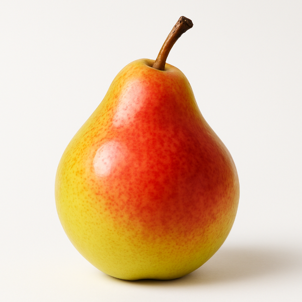 SOUTHERN KING PEAR PICTURE medium to large in size, with smooth yellow-green skin often blushed with red as it ripens.