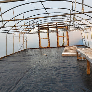 NURSERY PICTURES - Advanced Nursery Growers