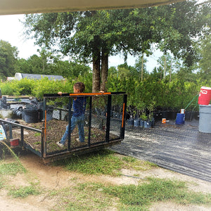 NURSERY PICTURES - Advanced Nursery Growers