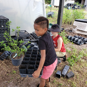 NURSERY PICTURES - Advanced Nursery Growers