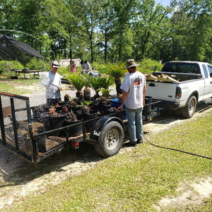 NURSERY PICTURES - Advanced Nursery Growers
