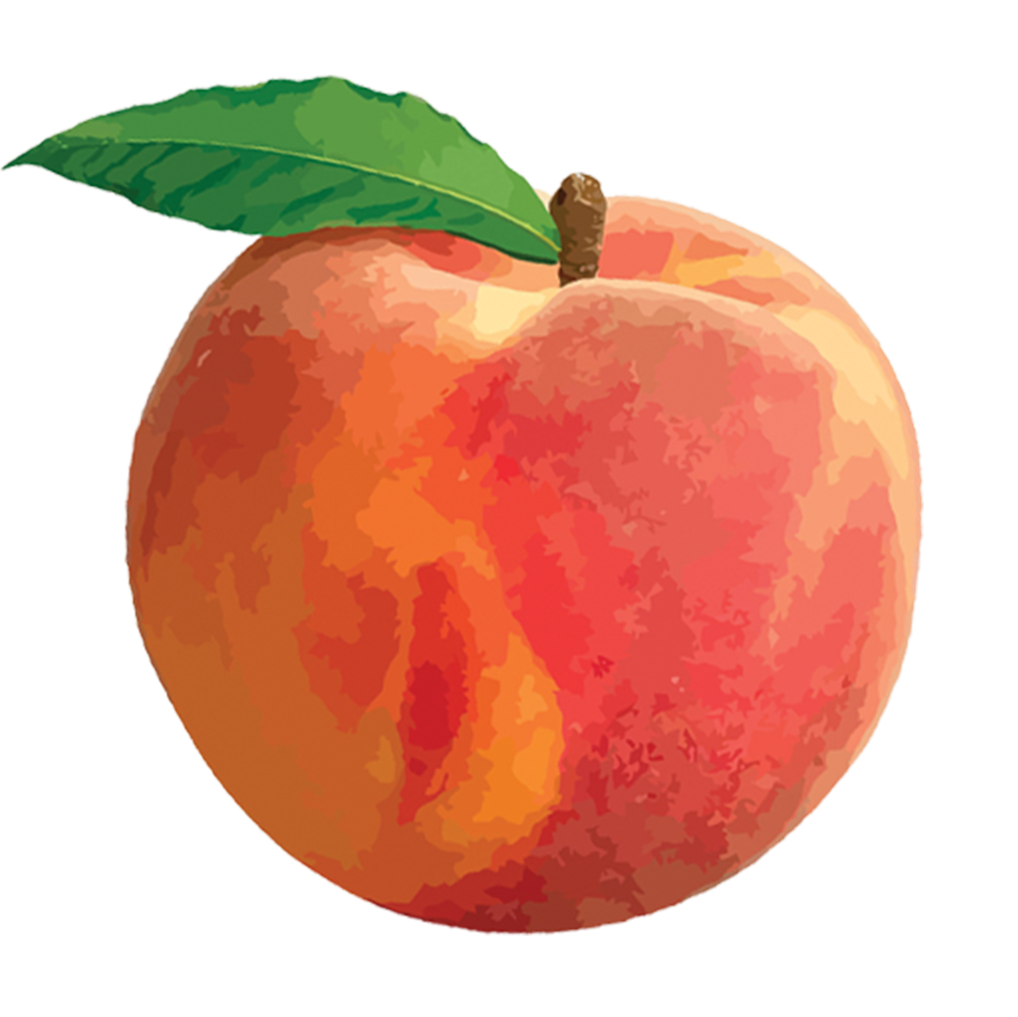 Flordaking Peach Tree for sale at Advanced Nursery Growers in DeFuniak Springs Florida
