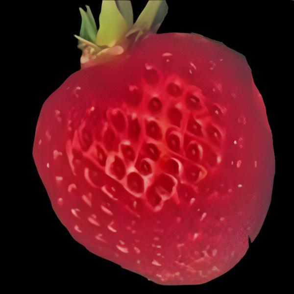 OZARK BEAUTY STRAWBERRY - Advanced Nursery Growers